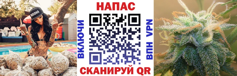 где найти   Вольск  Бошки марихуана VHQ 